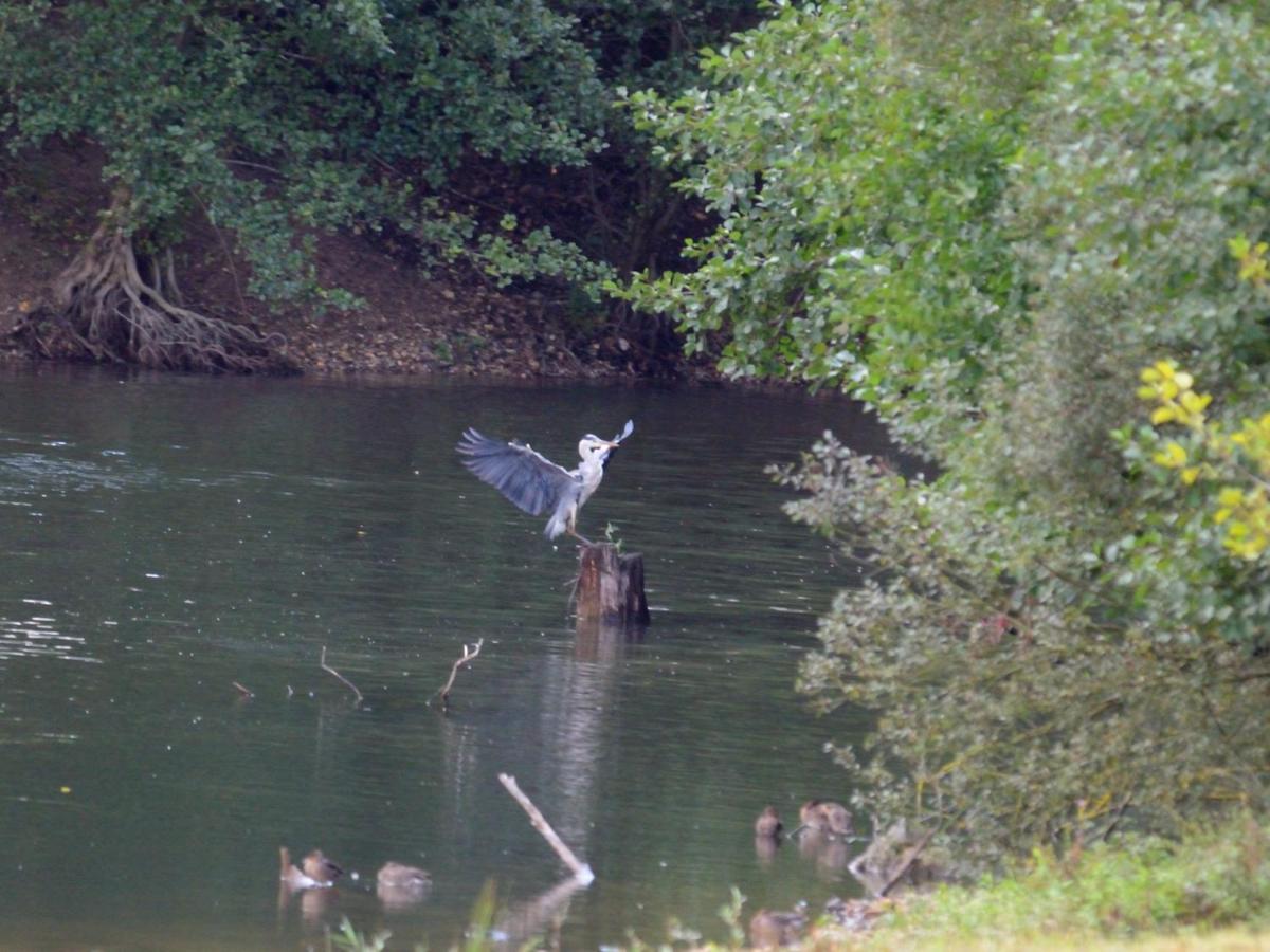 Vila La Ravine Au Bord Du Loing Montigny-sur-Loing Exteriér fotografie